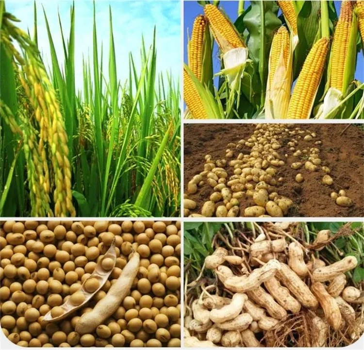 Customized Different Color Compound Water Soluble Fertilizer